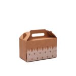 Printed Kraft Handle Box Big <br>Pack Of 10 <p style="font-size:15px;">(21L X 10.5W X 12 cm Ht)</p>