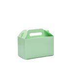 Green Handle Box Big – Pack Of 10 <br><p style="font-size:15px;">(21 X 10.5 X 12 cm)</p>