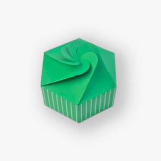 Green Printed Hexagonal Box Short – Pack Of 10 <br><p style="font-size:15px;">(15 cm D 7.5 cm H)</p>