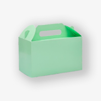 Green Handle Box Big – Pack Of 10 <br><p style="font-size:15px;">(21 X 10.5 X 12 cm)</p>